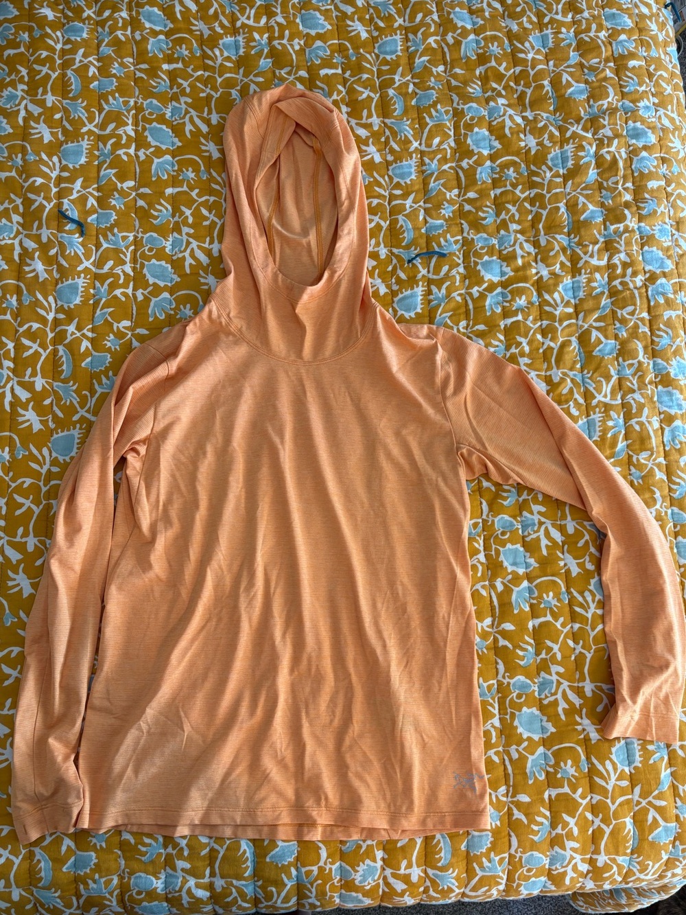 Arc'teryx Women's Taema Hooded Long-Sleeve